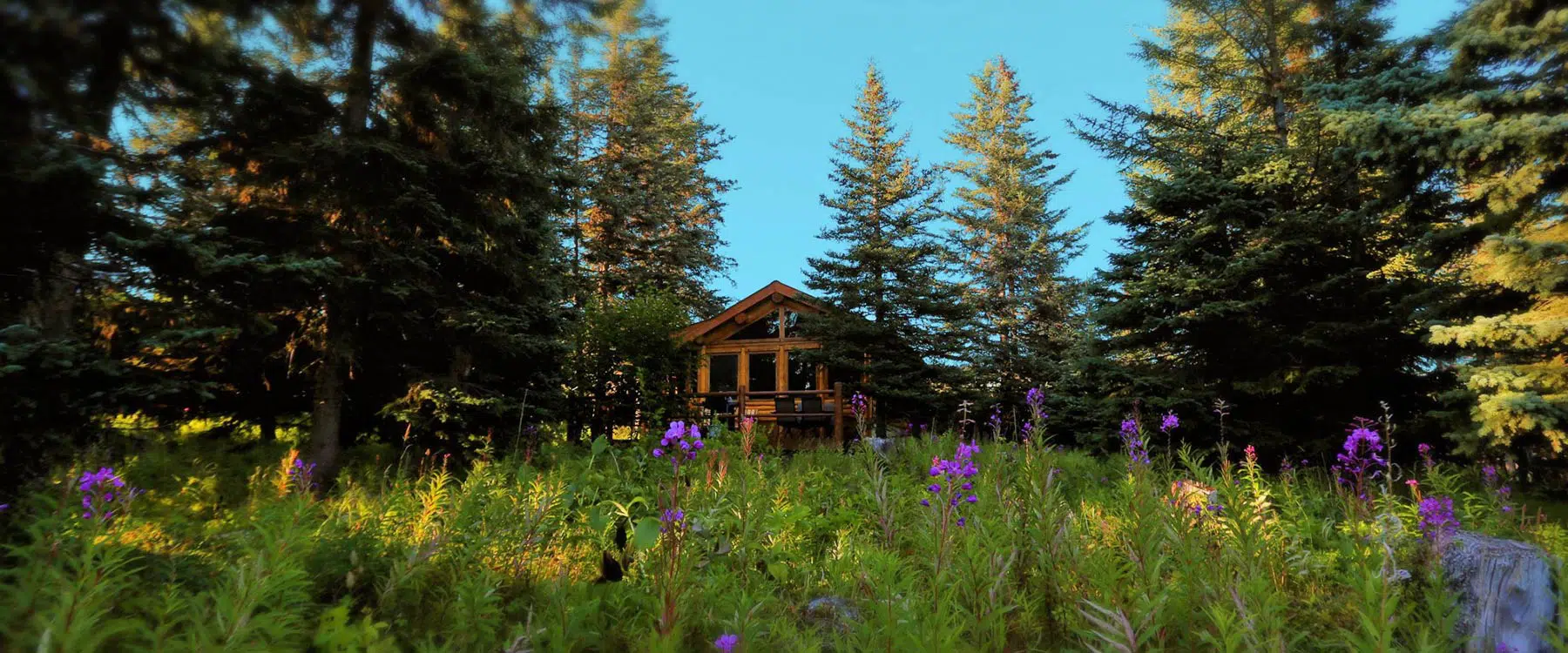 cabin in wildflowers