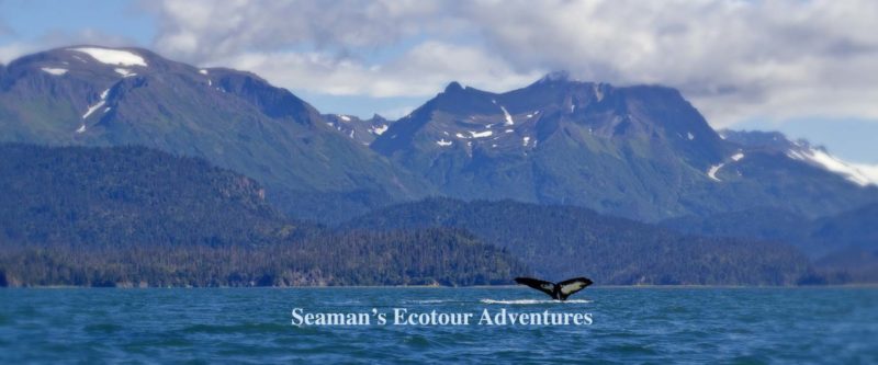 Seaman’s Ecotour Adventures