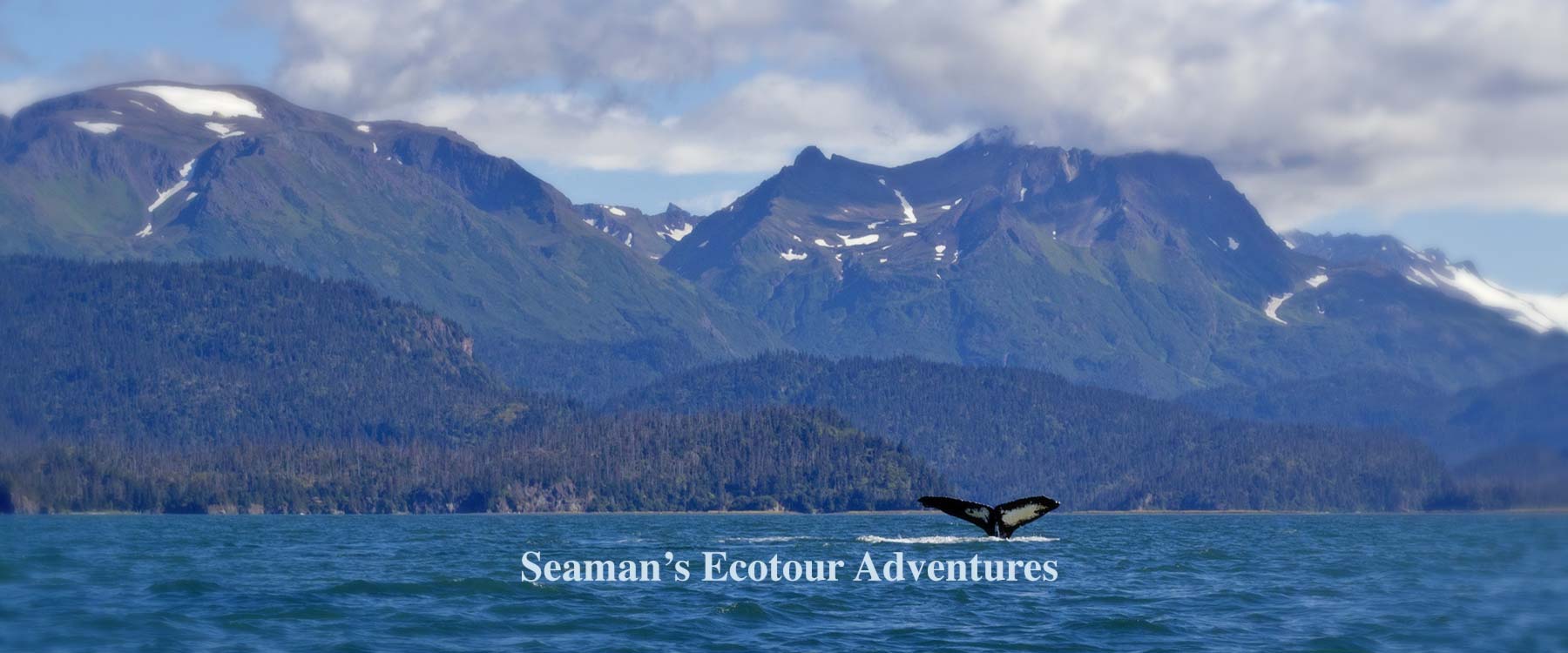 Seaman's Eco Tour Adventures
