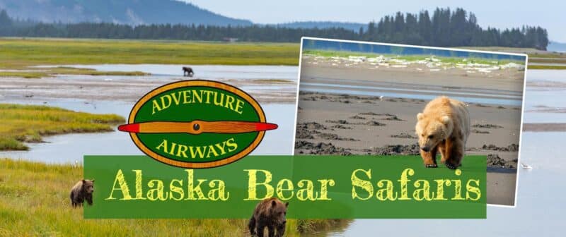 Alaska Bear Safaris