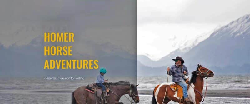 Homer Horse Adventures Homer Horse Adventures